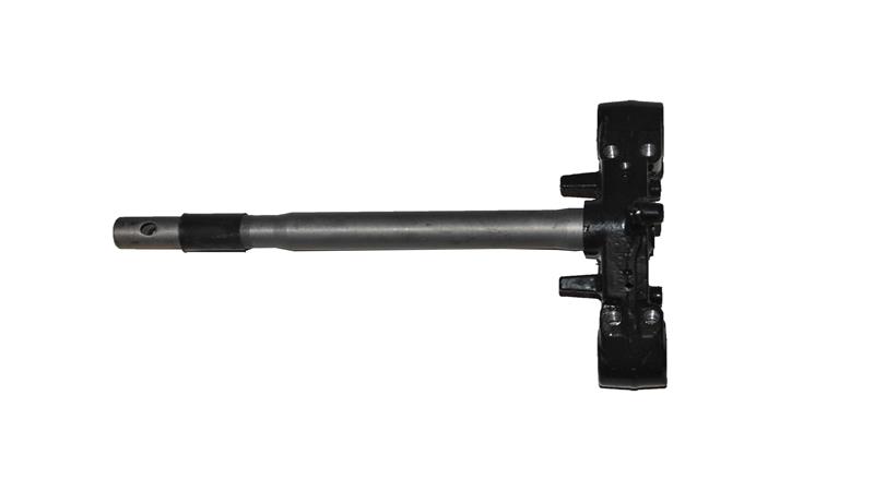 GİDON (BAYBERRY125)